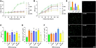 Reactive oxygen species derived from NADPH oxidase as signaling molecules regulate fatty acids and astaxanthin accumulation in Chromochloris zofingiensis